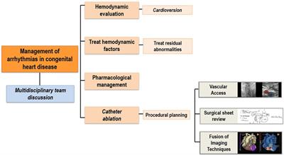 Tachyarrhythmias in congenital heart disease